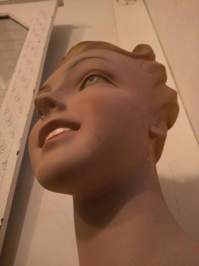 Hote Antique 호텔 브리뇨강-플라주 외부 사진